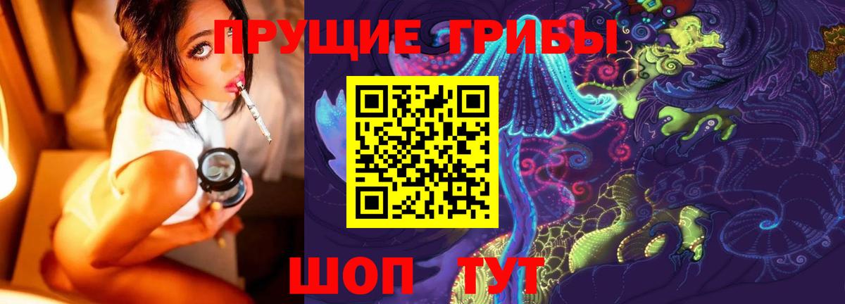 Псилоцибиновые грибы Psilocybine cubensis Мирный
